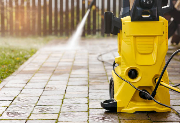 Best Animal Enclosure Cleaning  in Belle, WV
